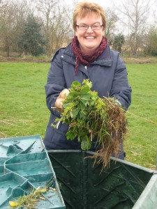 Learn how to make your own compost