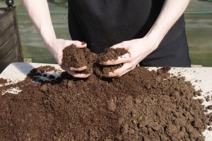 Soil Soil